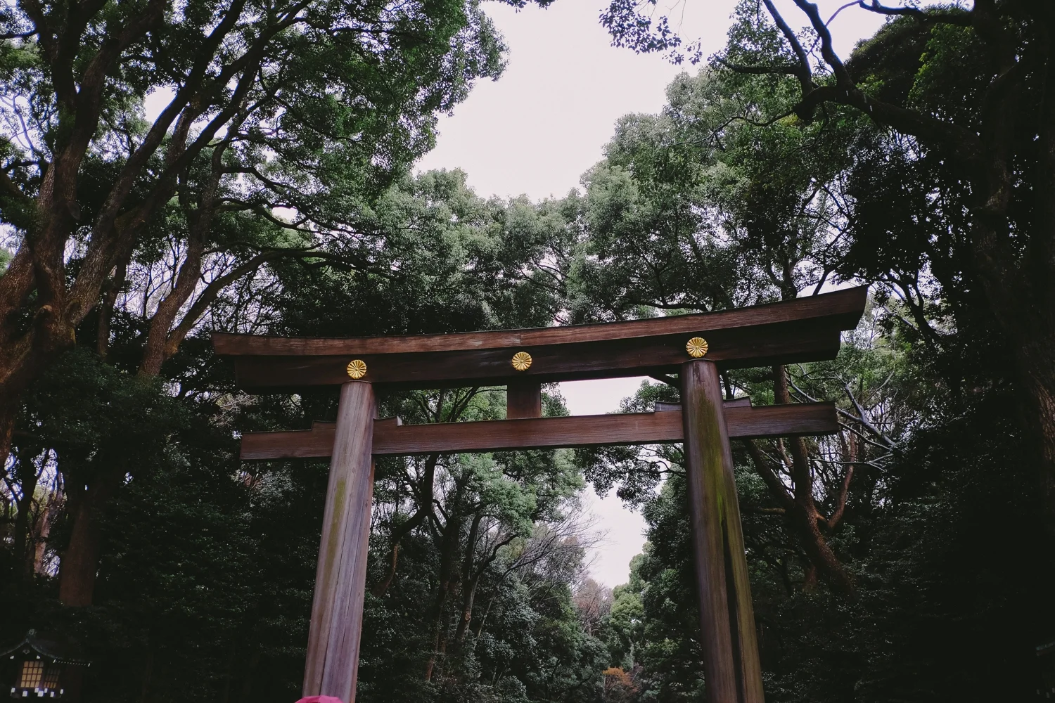 Meji Shrine, Harujuku
