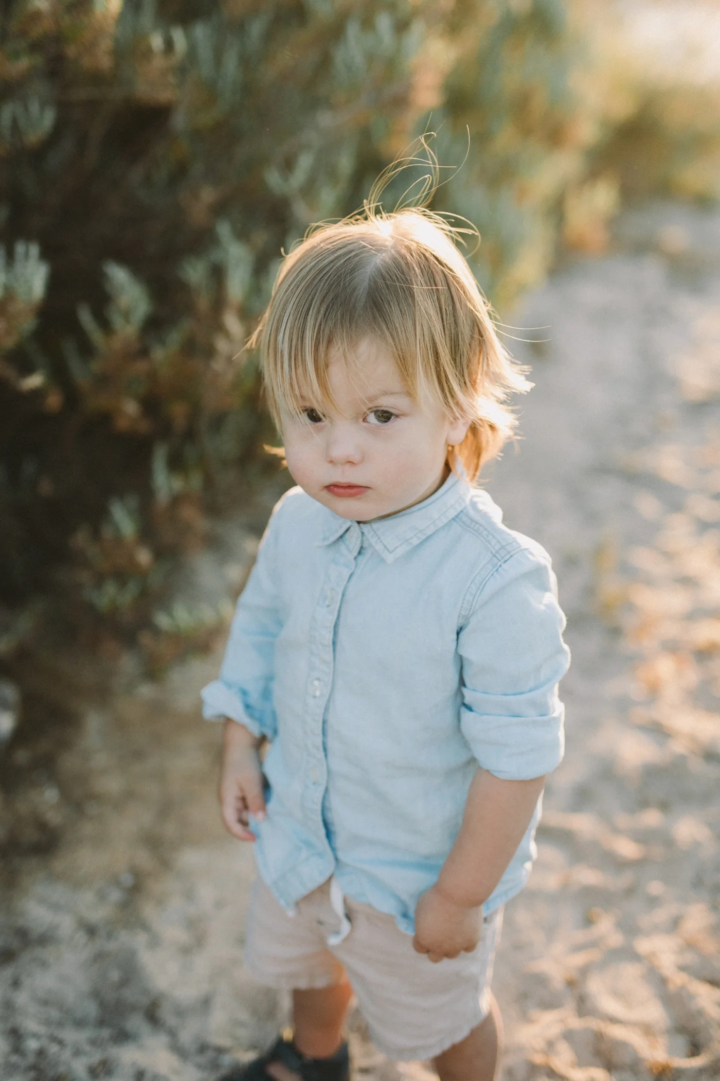 Gronert Family Session - Natural Family Photographer in Adelaide - Simple and Beautiful Family Photography - www.katherineschultzphotography.com_0011.jpg