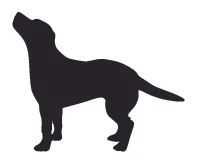 dog silhouette standing looking up left.jpg