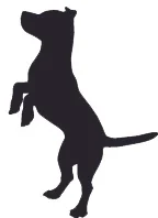dog silhouette standing facing left copy.jpg