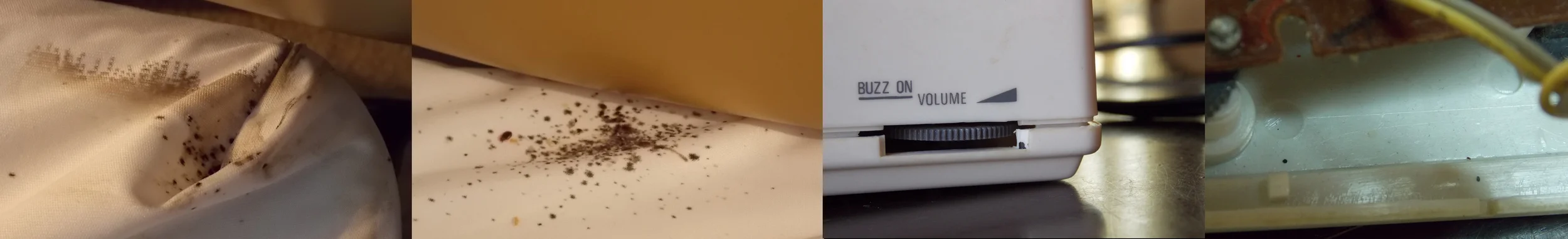From left to right: 1. and 2. bed bug fecal spotting on fitted sheet at head of bed; 3. clock radio volume conrol served as an egress point for bed bugs, note the one fecal spot on bottom right; 4. two fecal spots on inside of clock radio.
