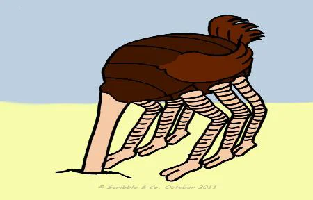 Artist's rendering of typical Ostrich Bug feeding behaviour. Used with permission of www.ostrichbug.com
