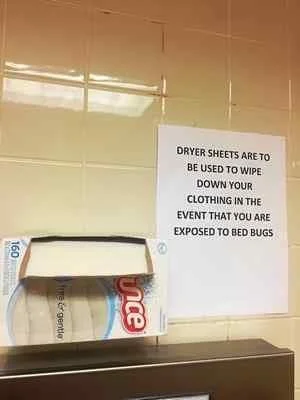 Despite the sign, dryer sheets do not repel or kill bed bugs.