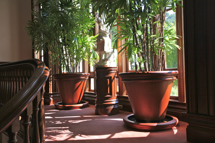  Mahogany vases and pedestal on-site. 