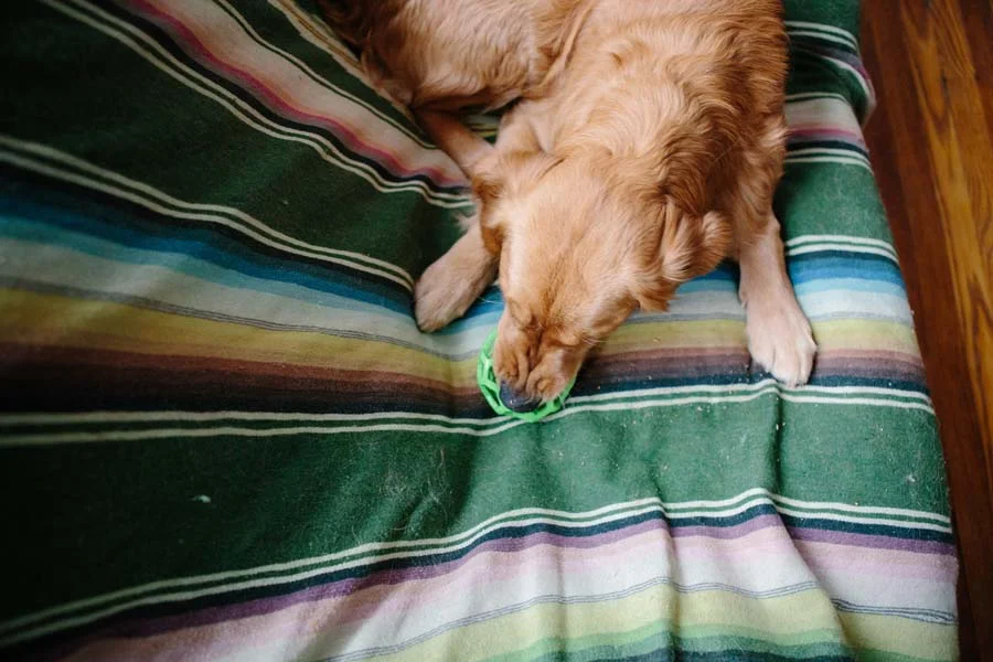 blog-Oscar_0005.jpg