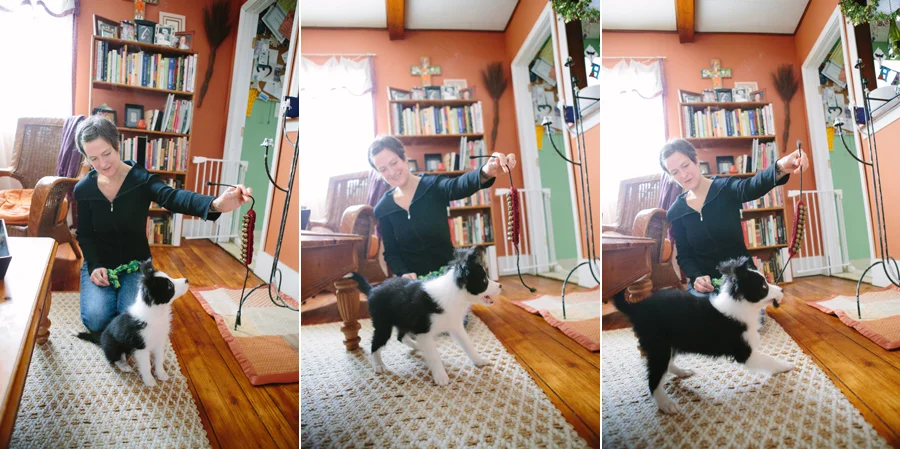 Cleveland Pet Photography.jpg