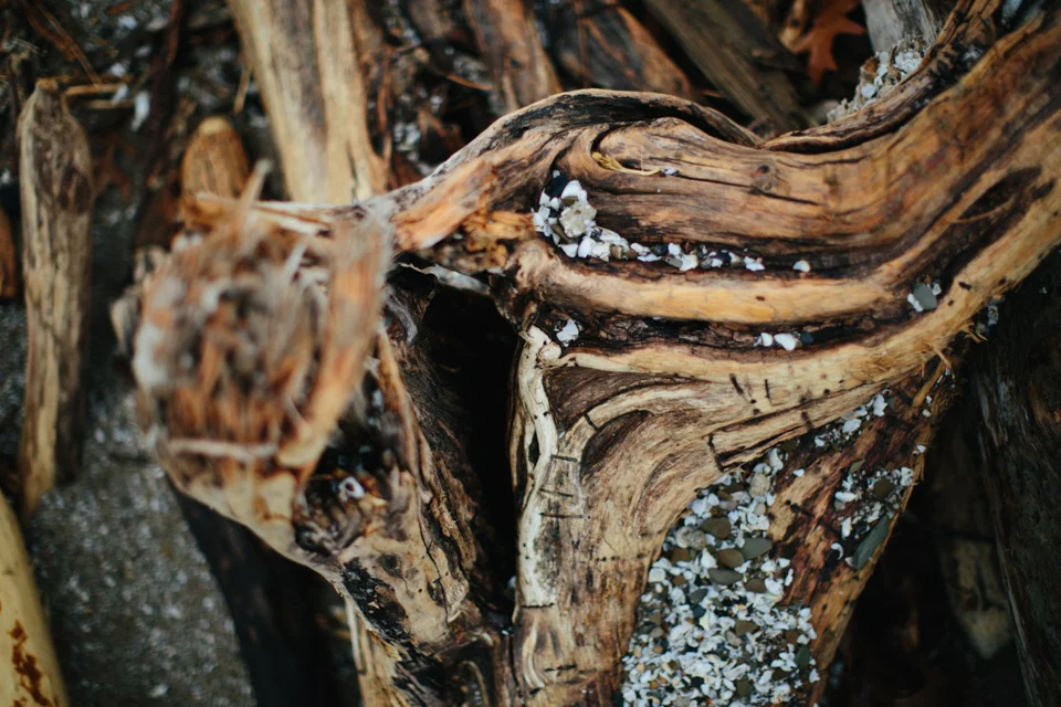 Driftwood