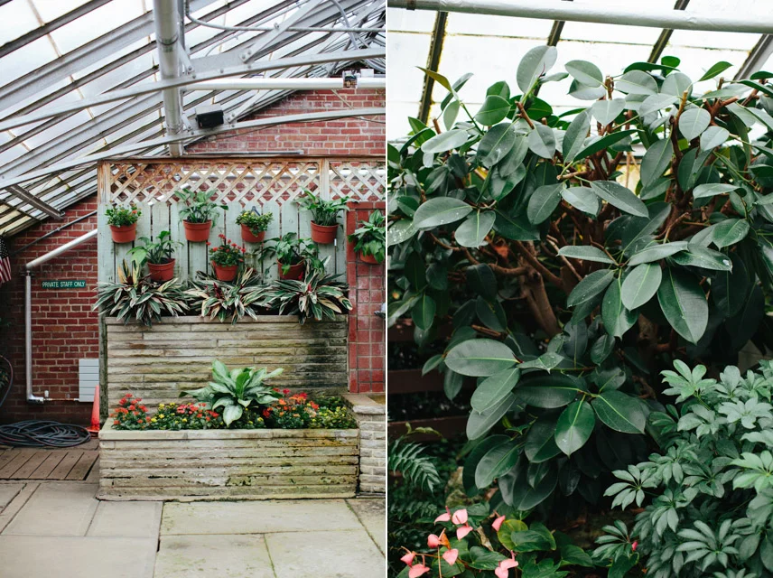 Rockefeller Greenhouse