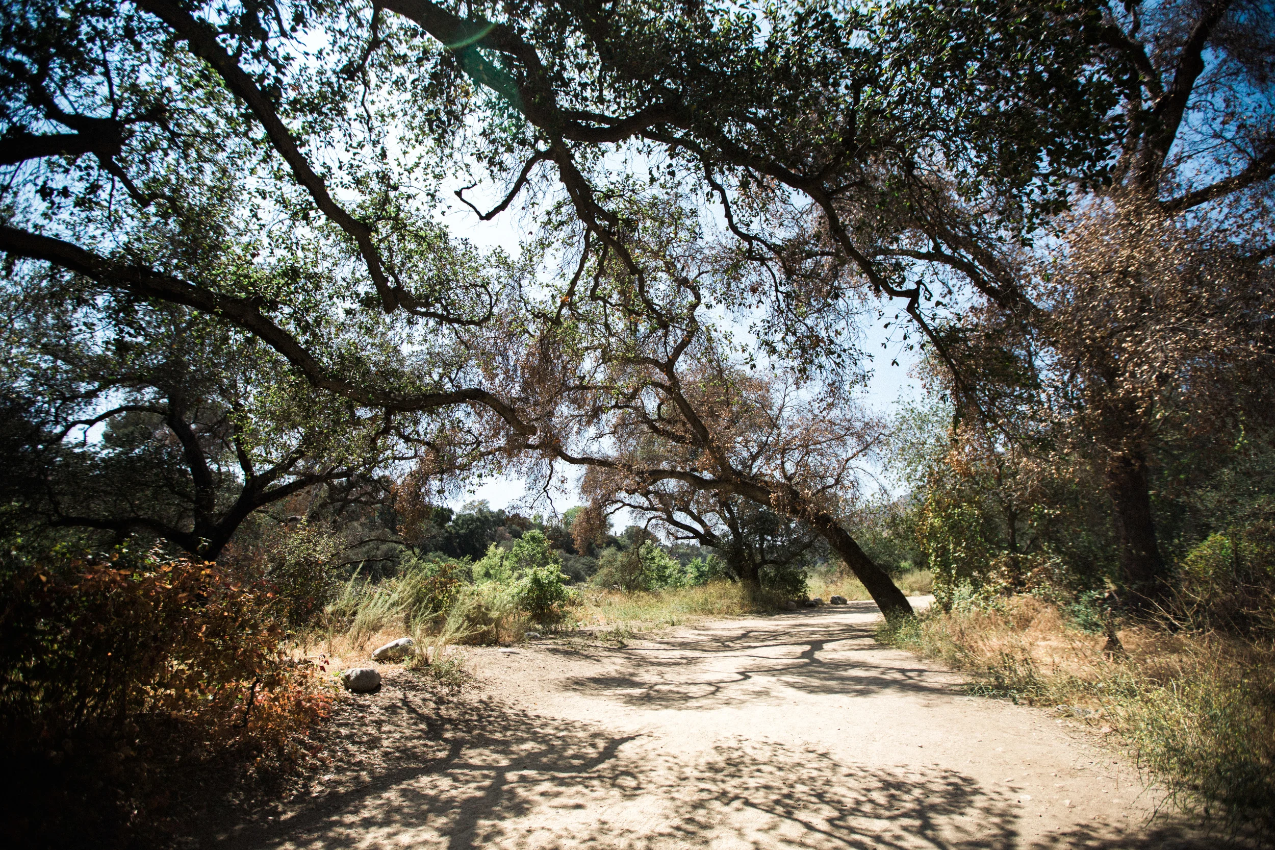 Los Angeles: Part One | Travel Photographer