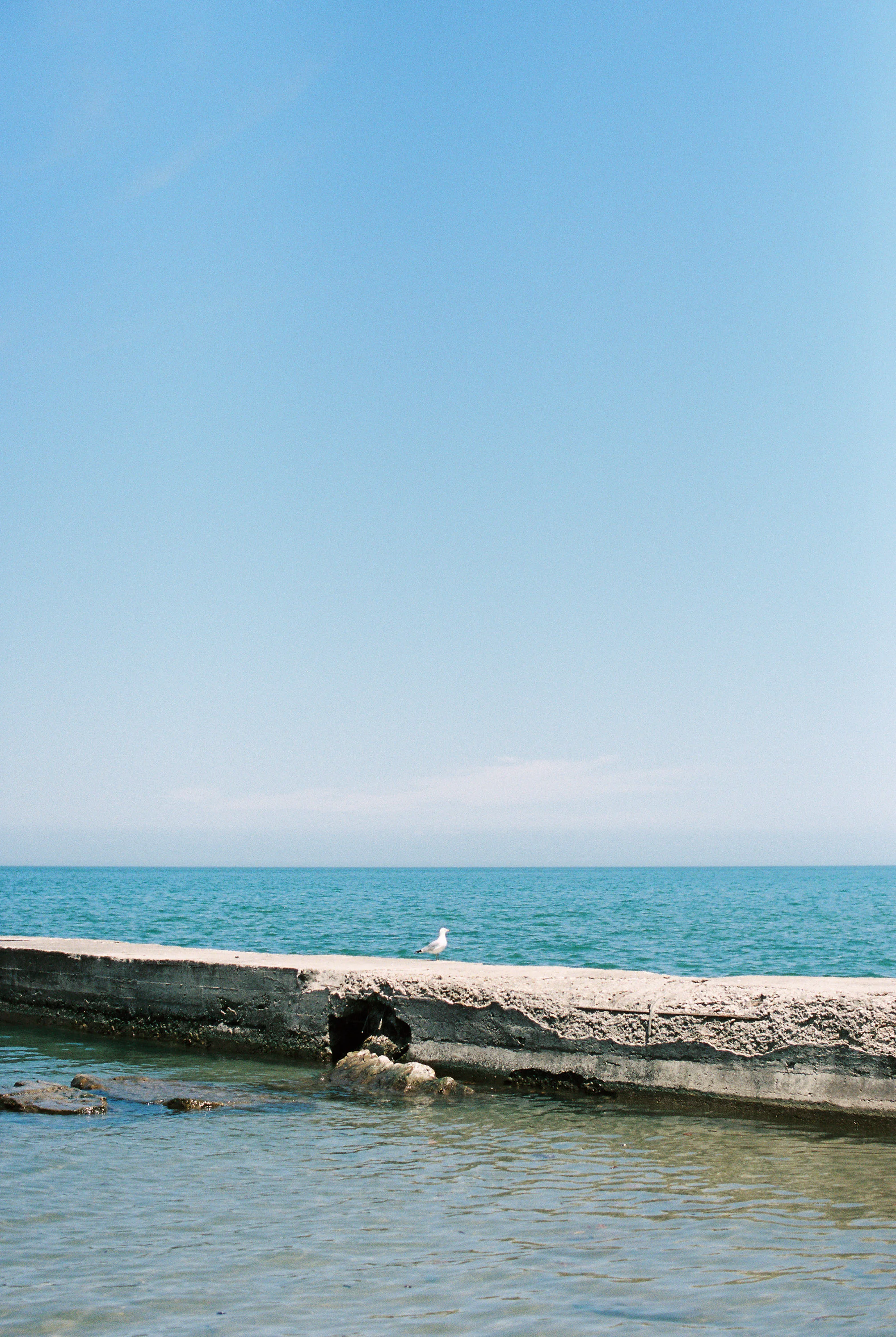 June2016_Personal_003.jpg