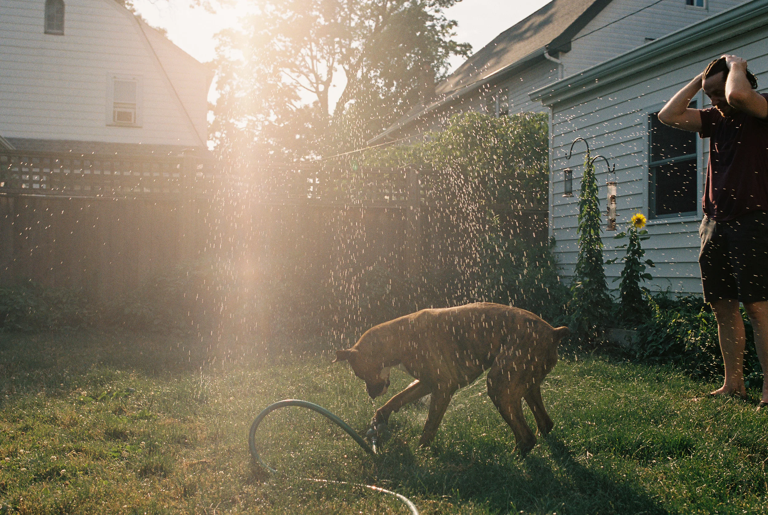 July2016_Personal_005.jpg