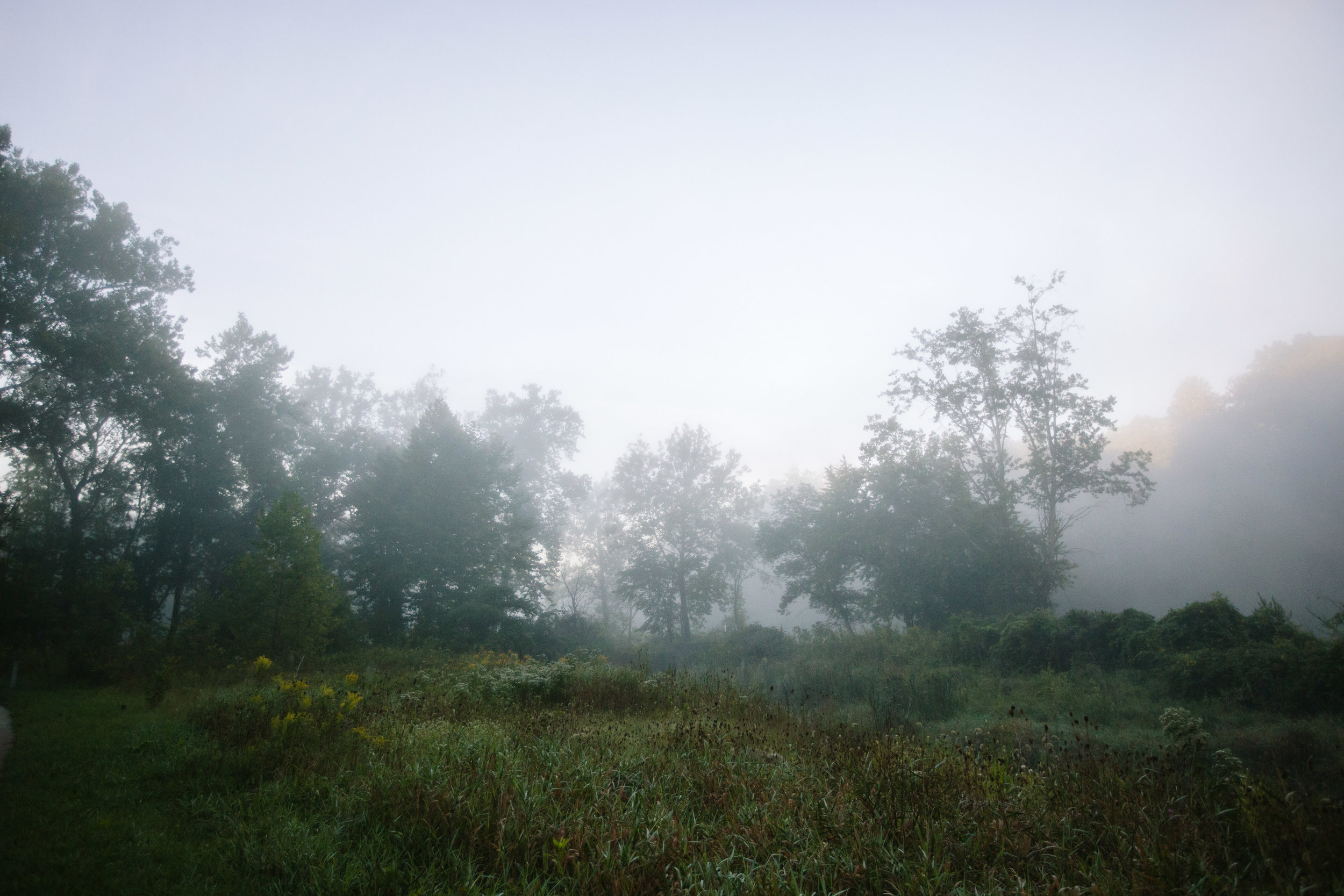 September 15, 2016_Nature_002.jpg