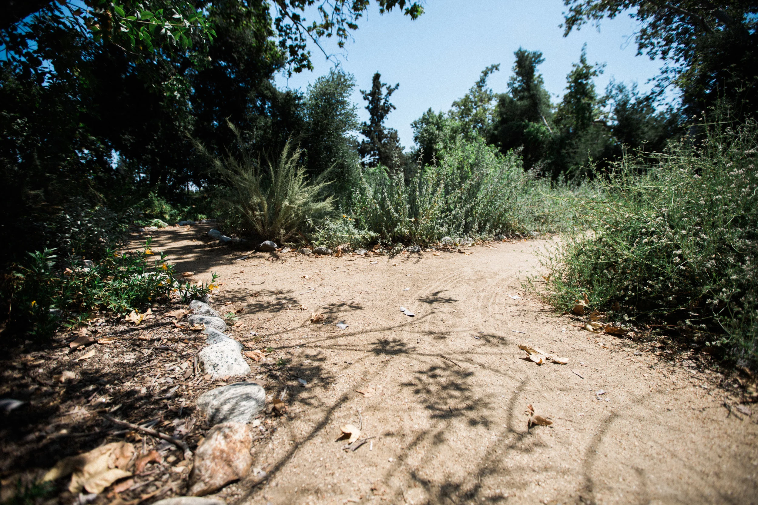 June 02, 2015_California_0003.jpg