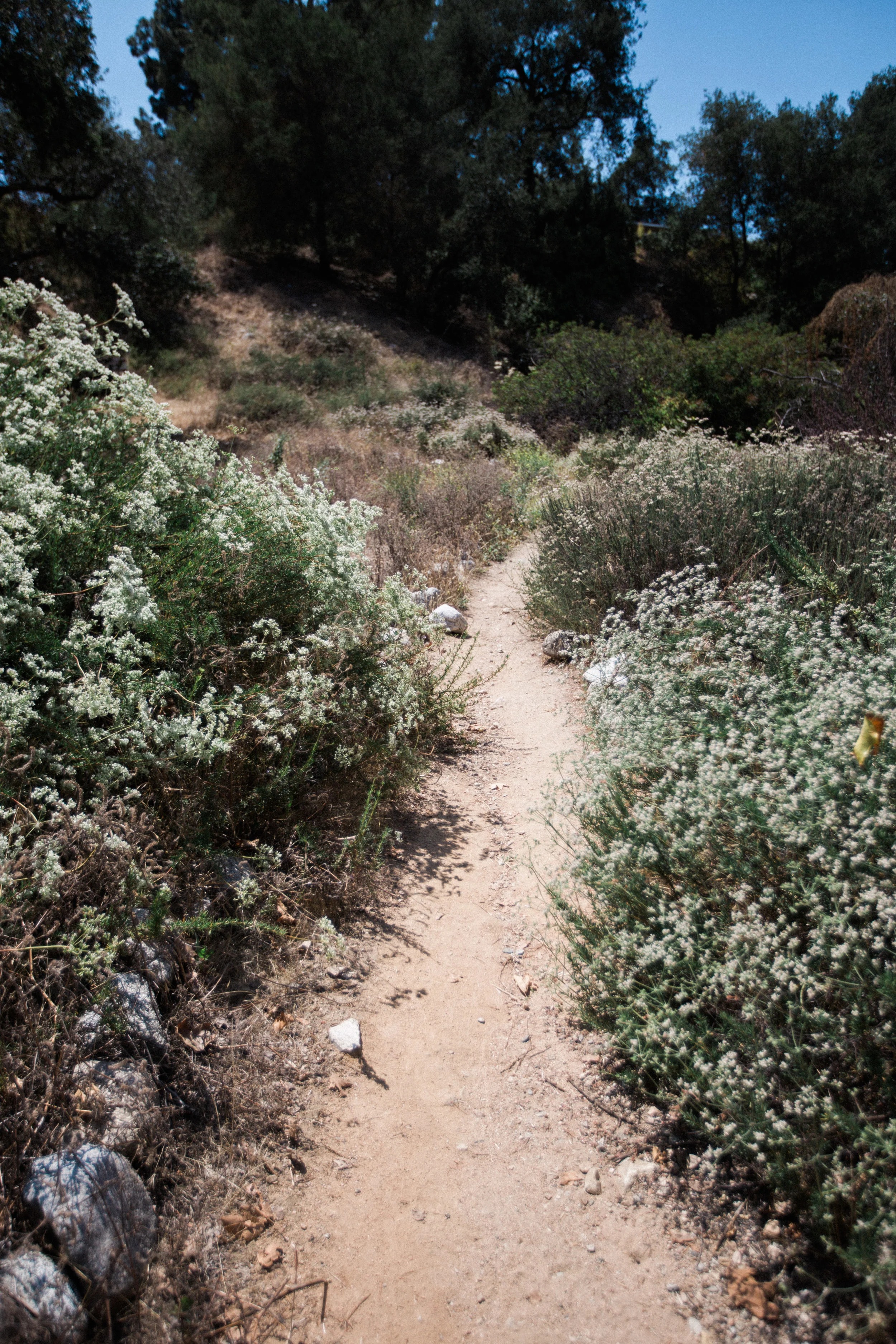 June 02, 2015_California_0007.jpg