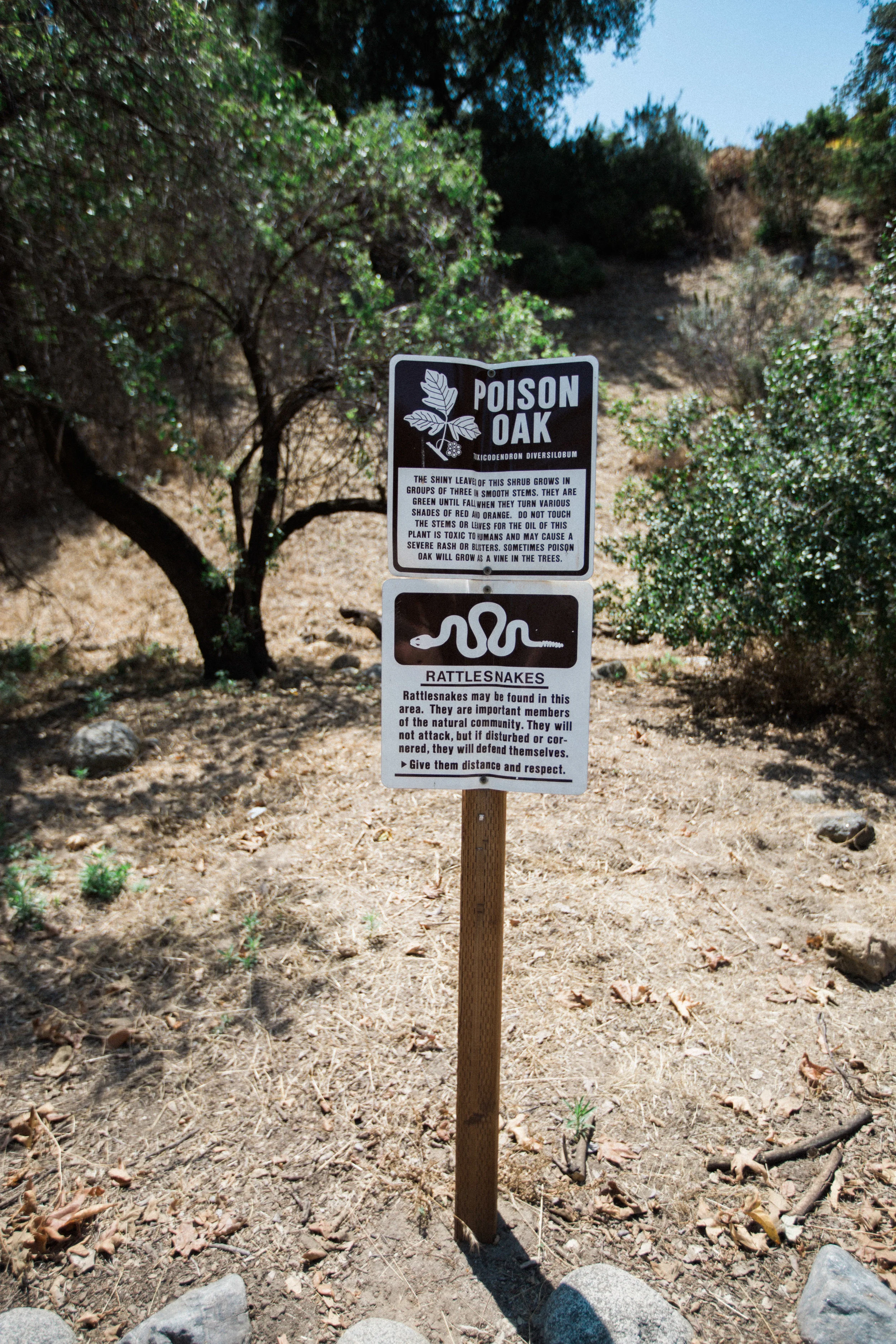 June 02, 2015_California_0010.jpg