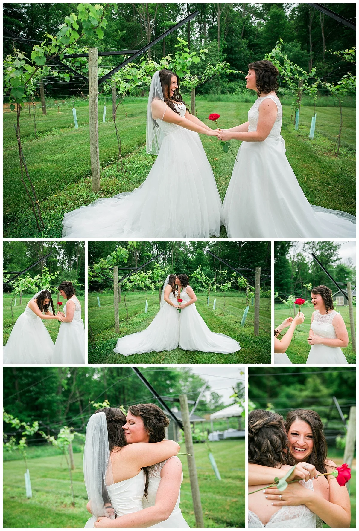 Cleveland-Wedding-Photographer_0036.jpg