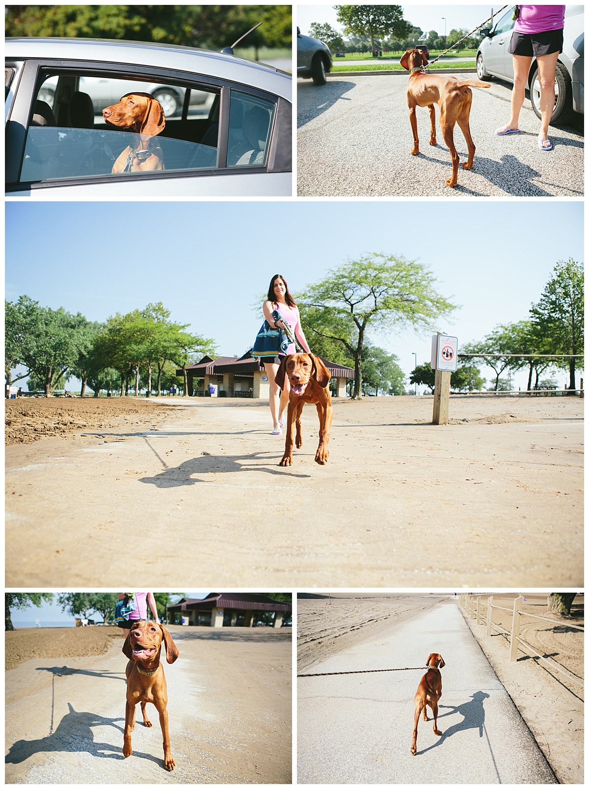 Cleveland-Pet-Photographer_0074.jpg