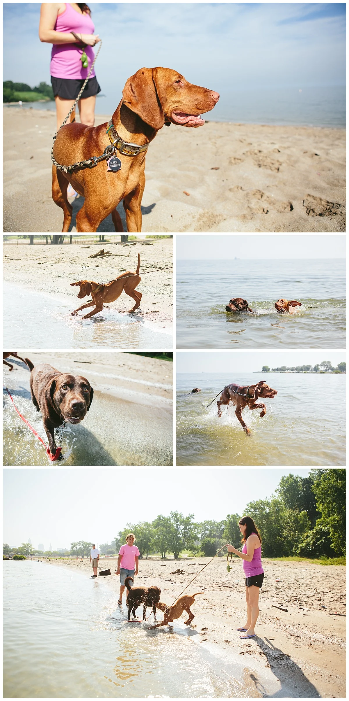 Cleveland-Pet-Photographer_0075.jpg