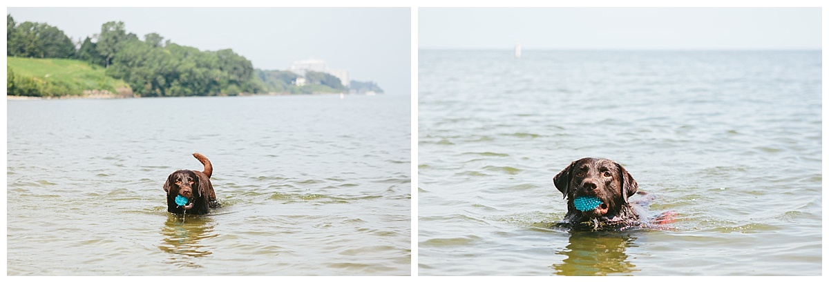 Cleveland-Pet-Photographer_0080.jpg
