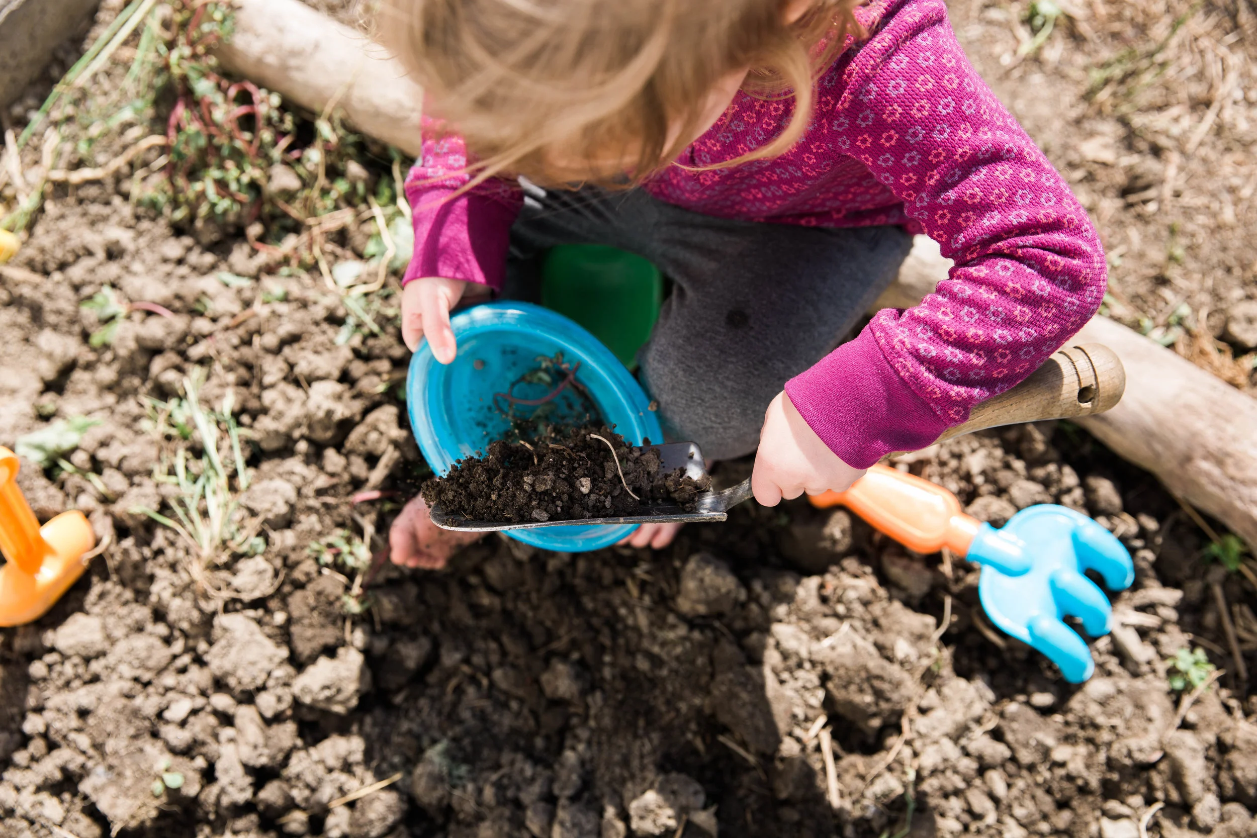 The Dirt Kitchen