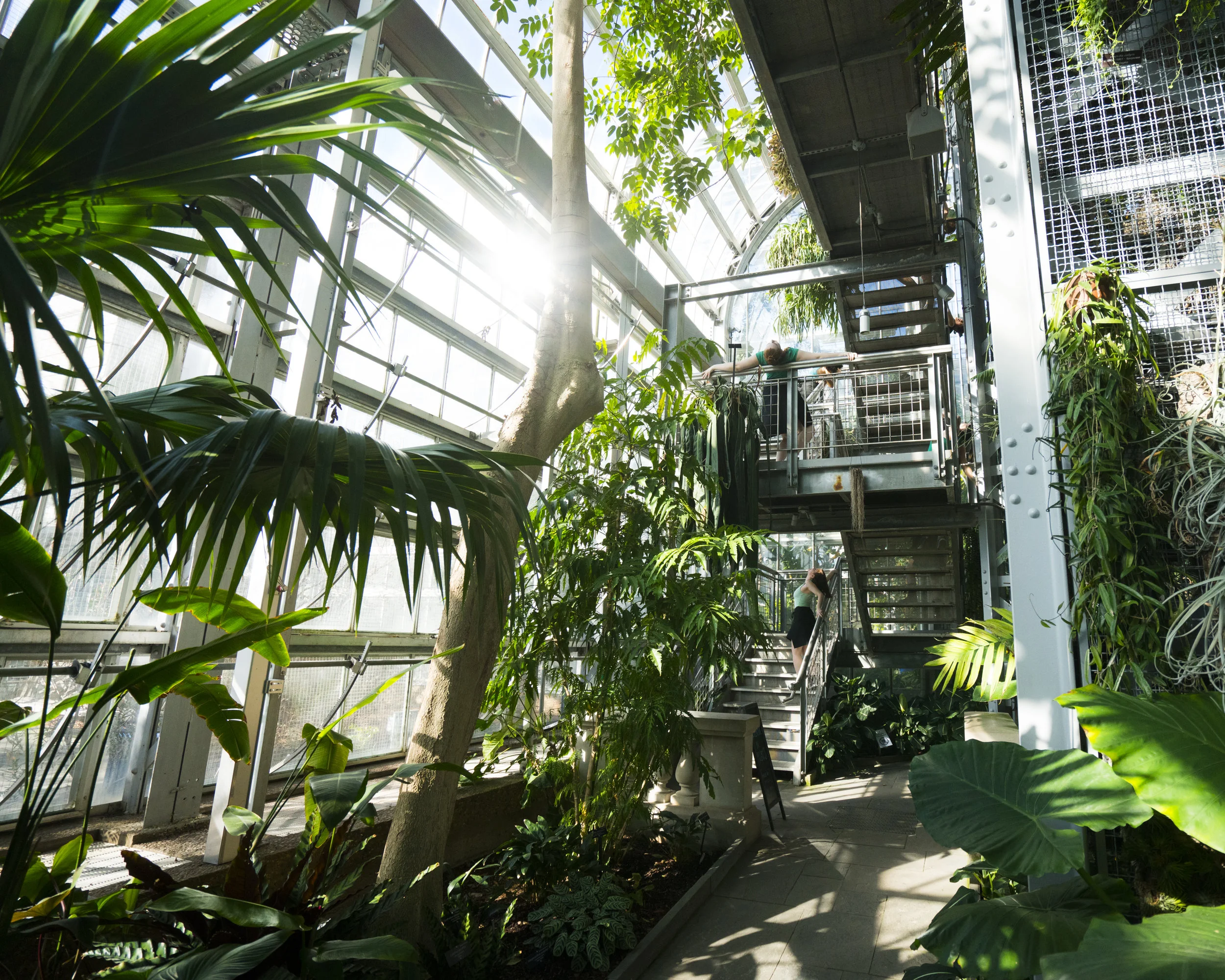 Botanic Garden_web1.JPG