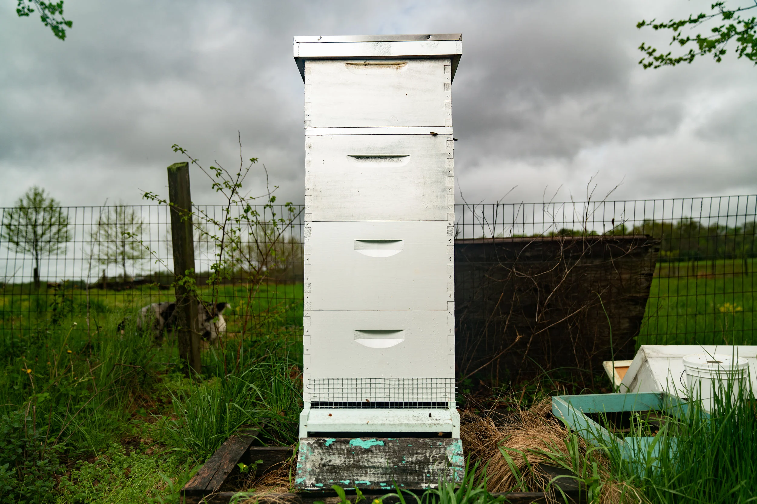 Beekeeping