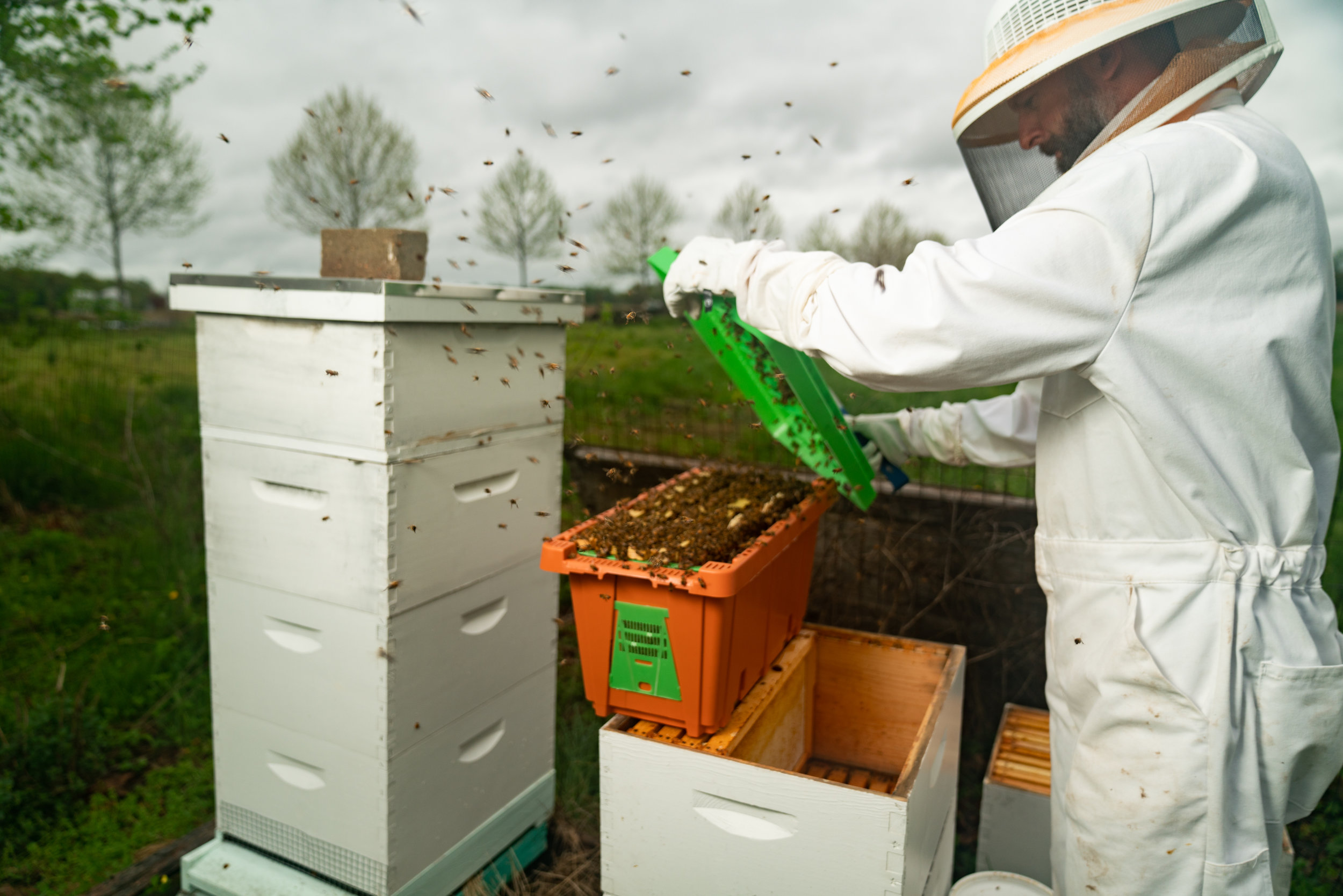 BeeKeeper_George-14.jpg