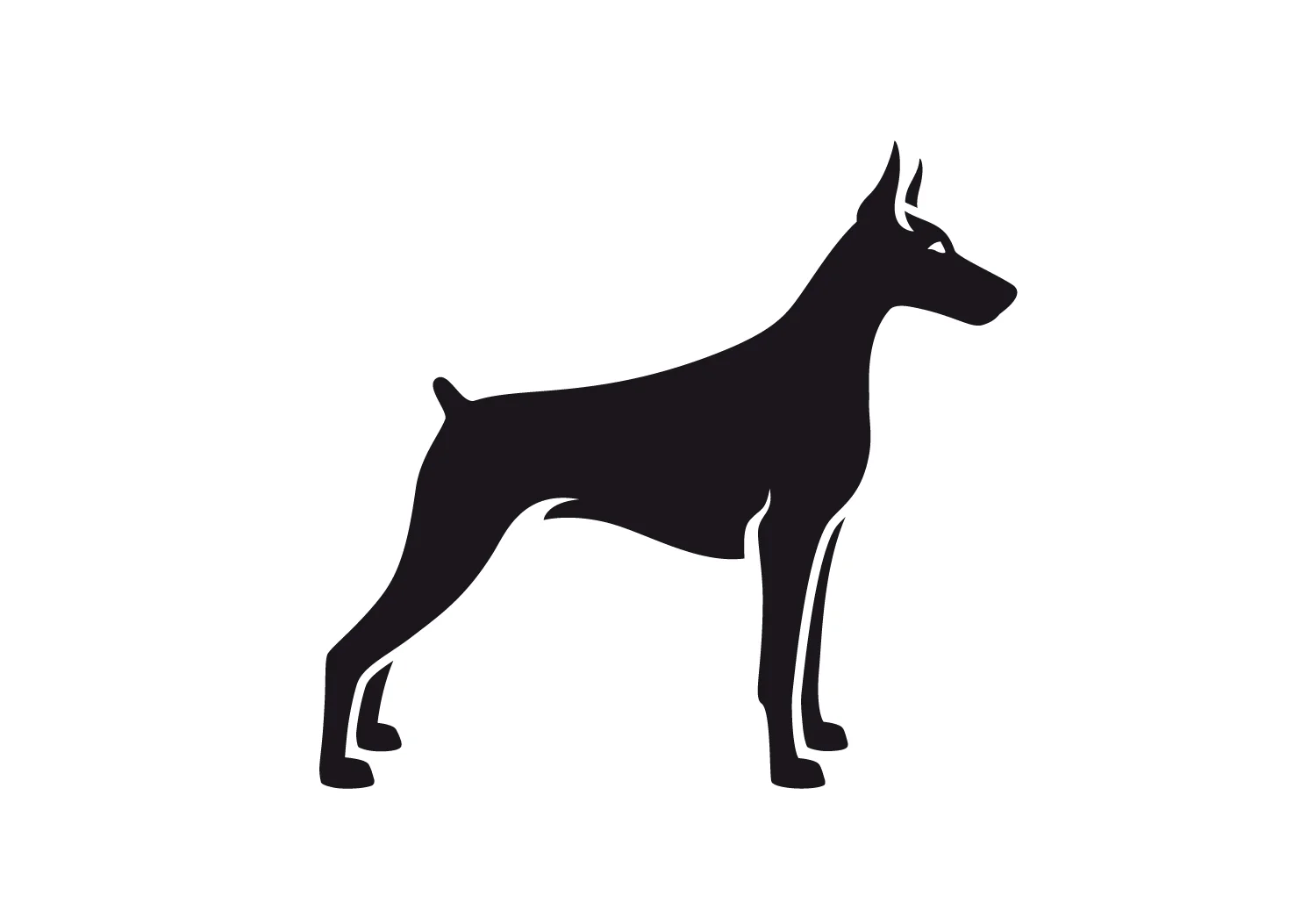 Doberman.jpg