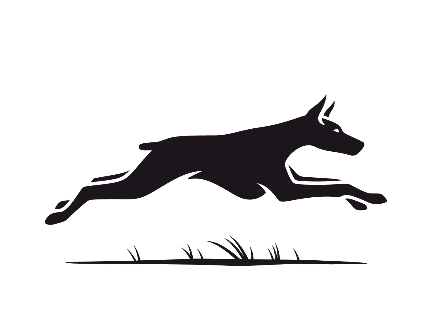 Doberman.jpg