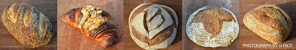 Blue_Oven_Breads.jpg