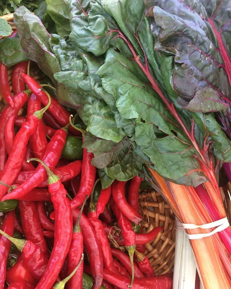 Peppers Chard.jpg