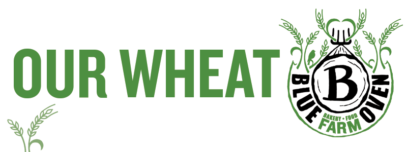 Blue Oven Farm Text Our Wheat.png