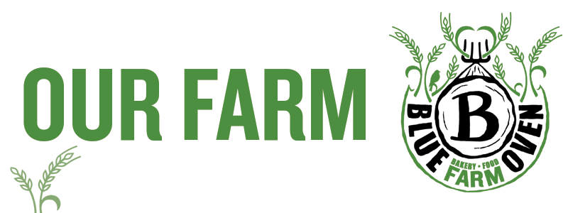 Blue Oven Farm Text Our Farm.png