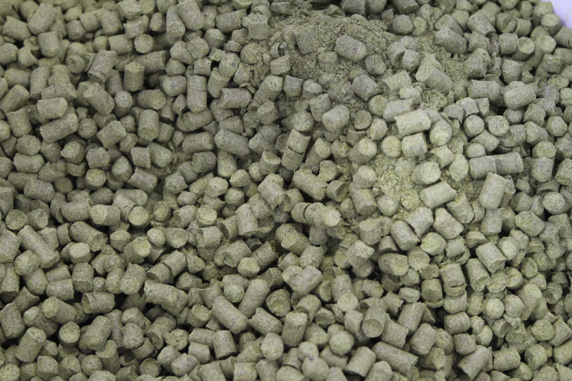 Mother Stewart 15.JPG