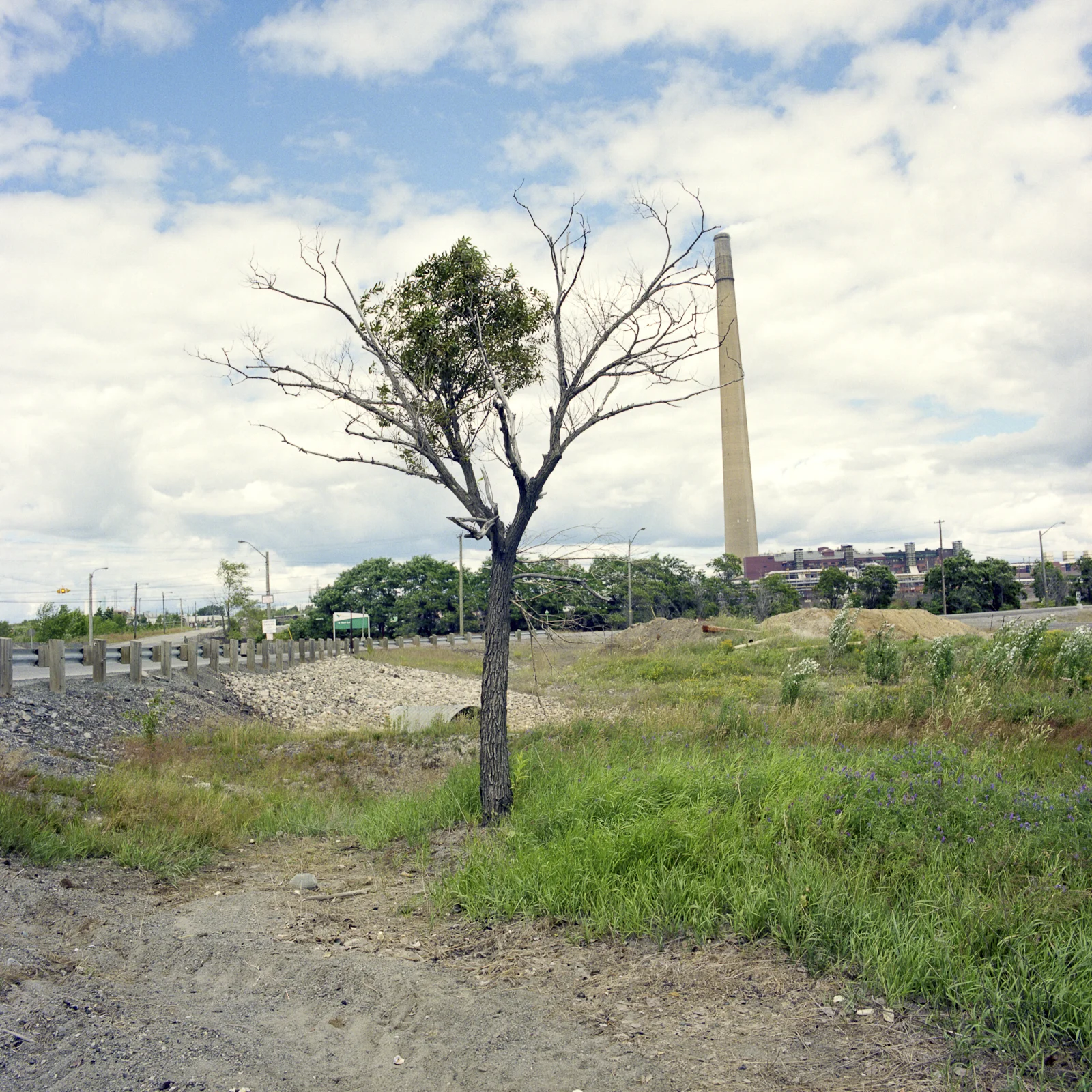 Scan-111125-0014.jpg