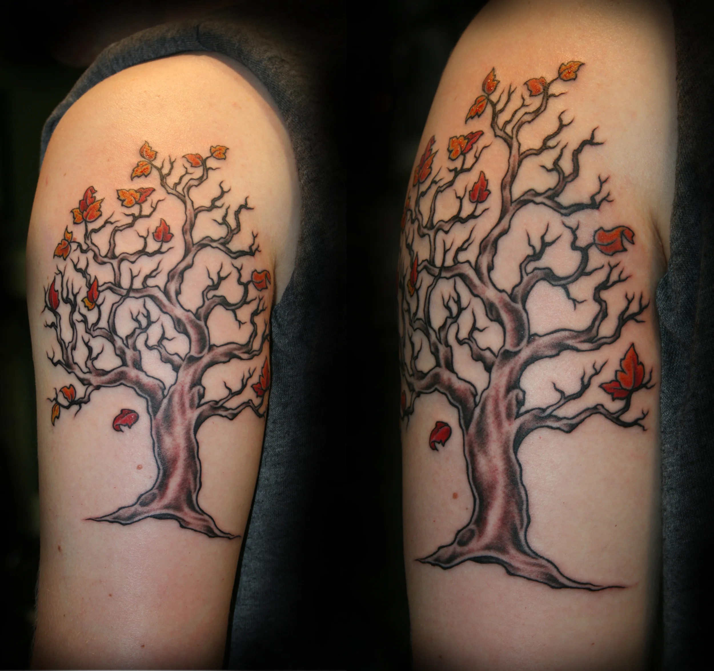 autumntree2in1.jpg