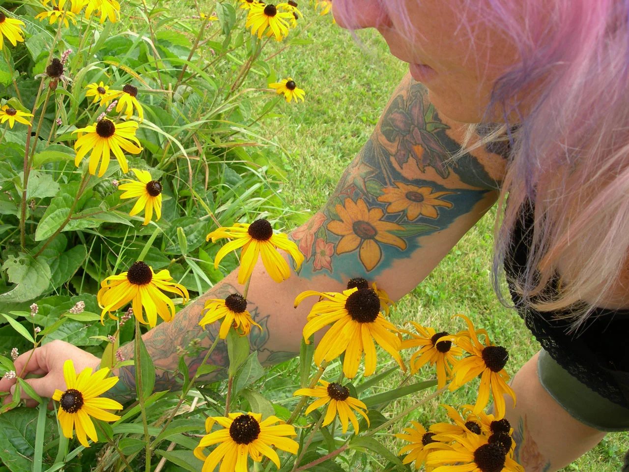 blackeyedsusan.jpg