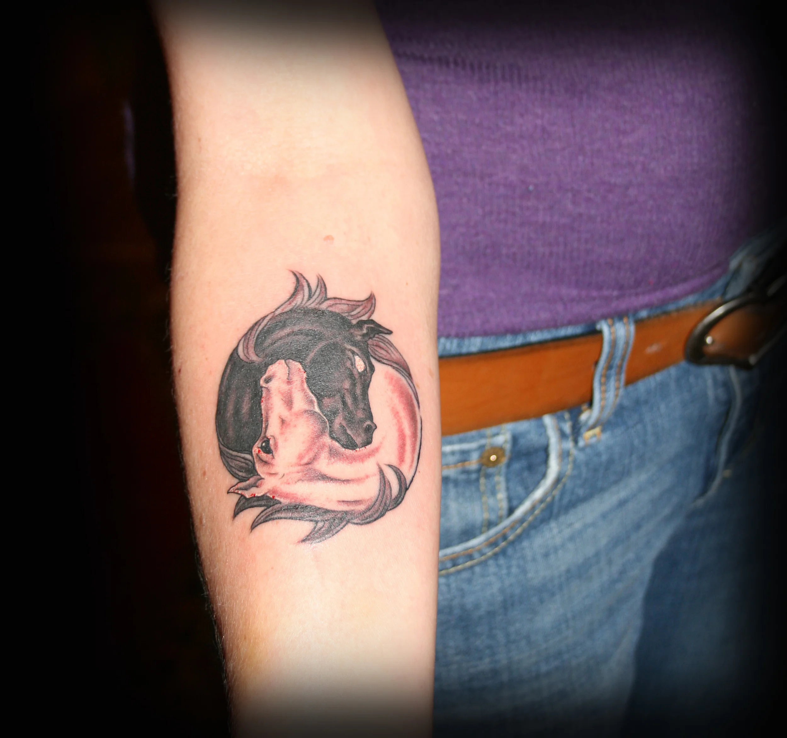horse-yinyang.jpg