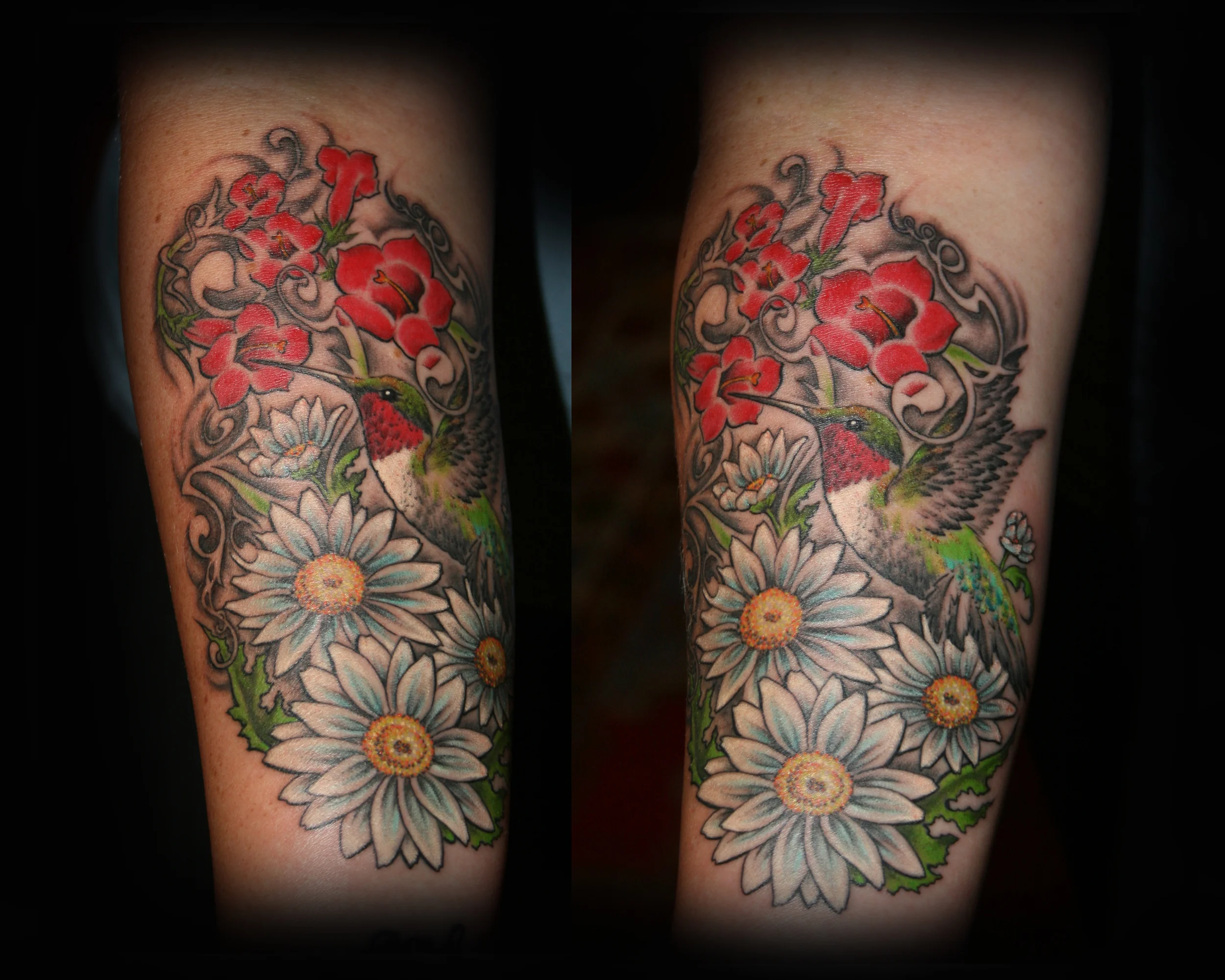 judith-hummingbirddaisies.jpg