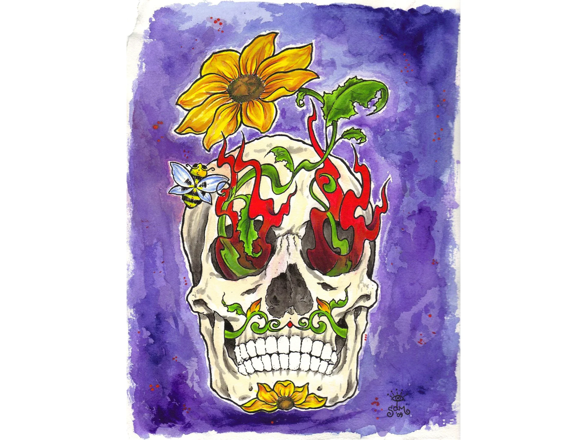 smallskull_gallery.jpg