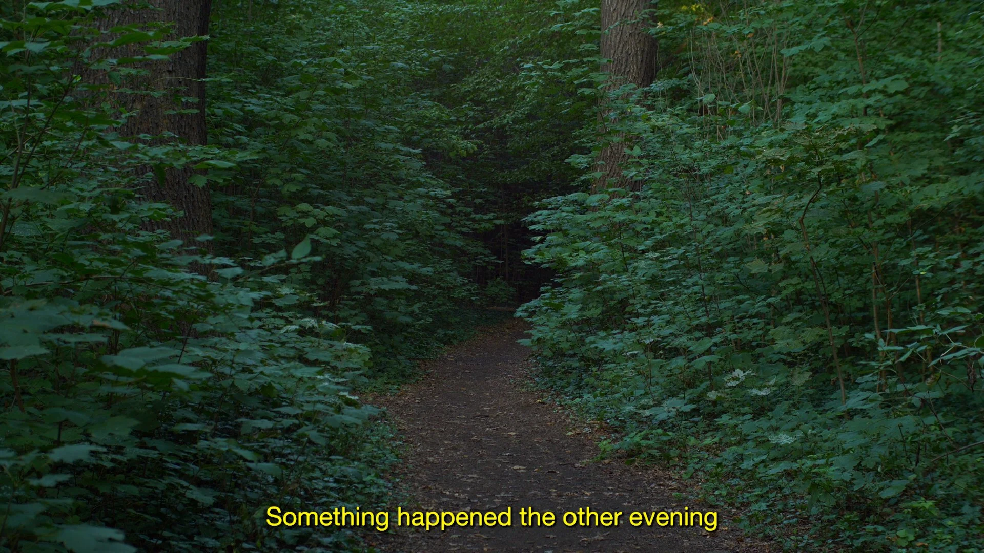 2_Plänterwald.jpg