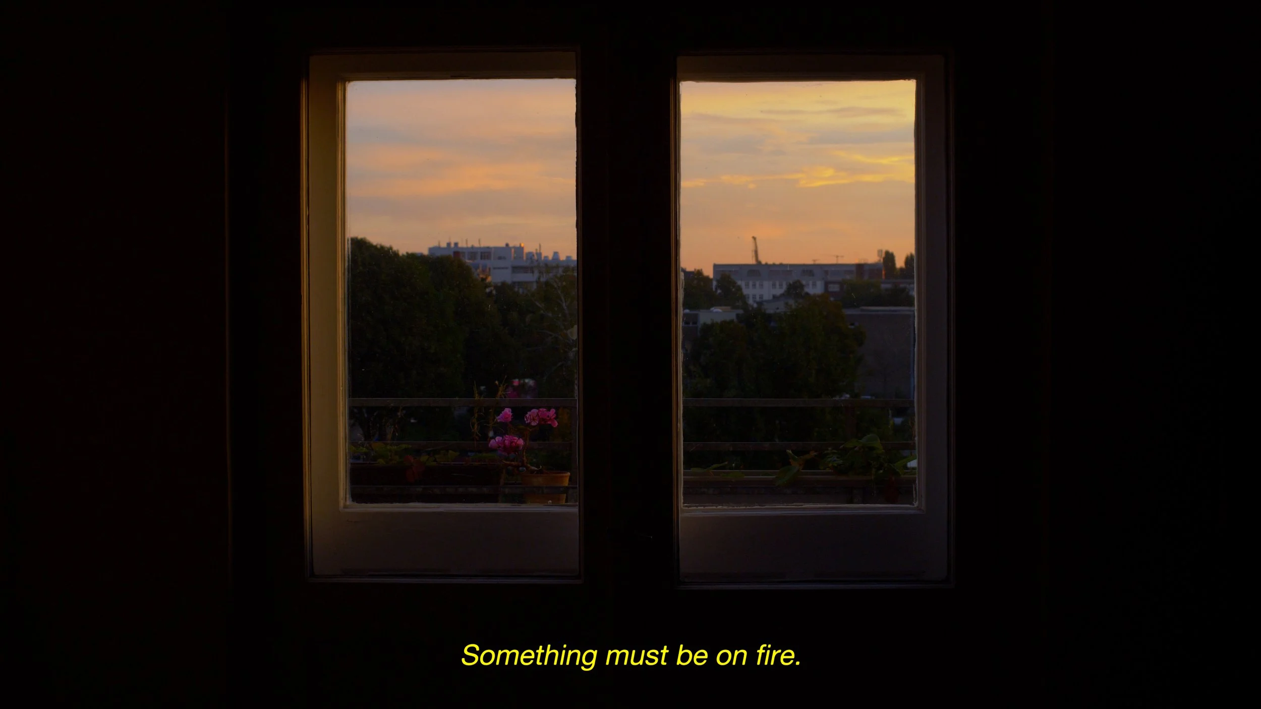 SUNRISES_brown_still.jpg