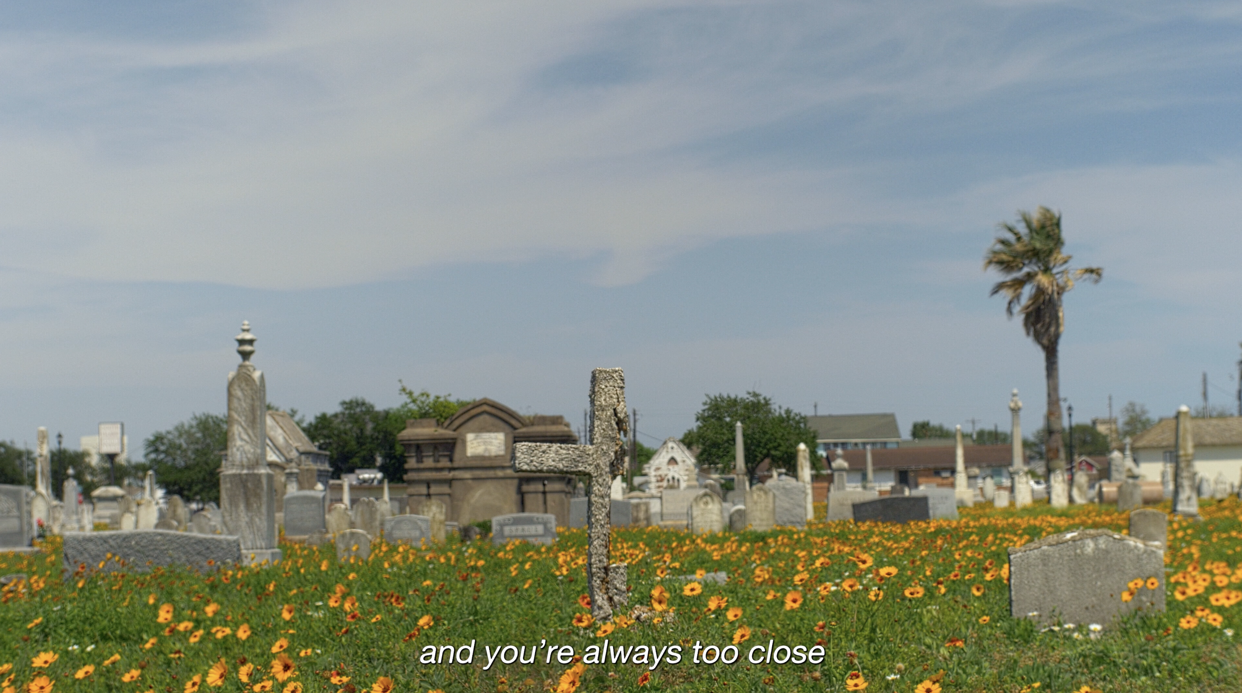 rosewood_6.png