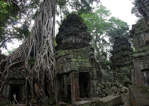 Jungle ruins