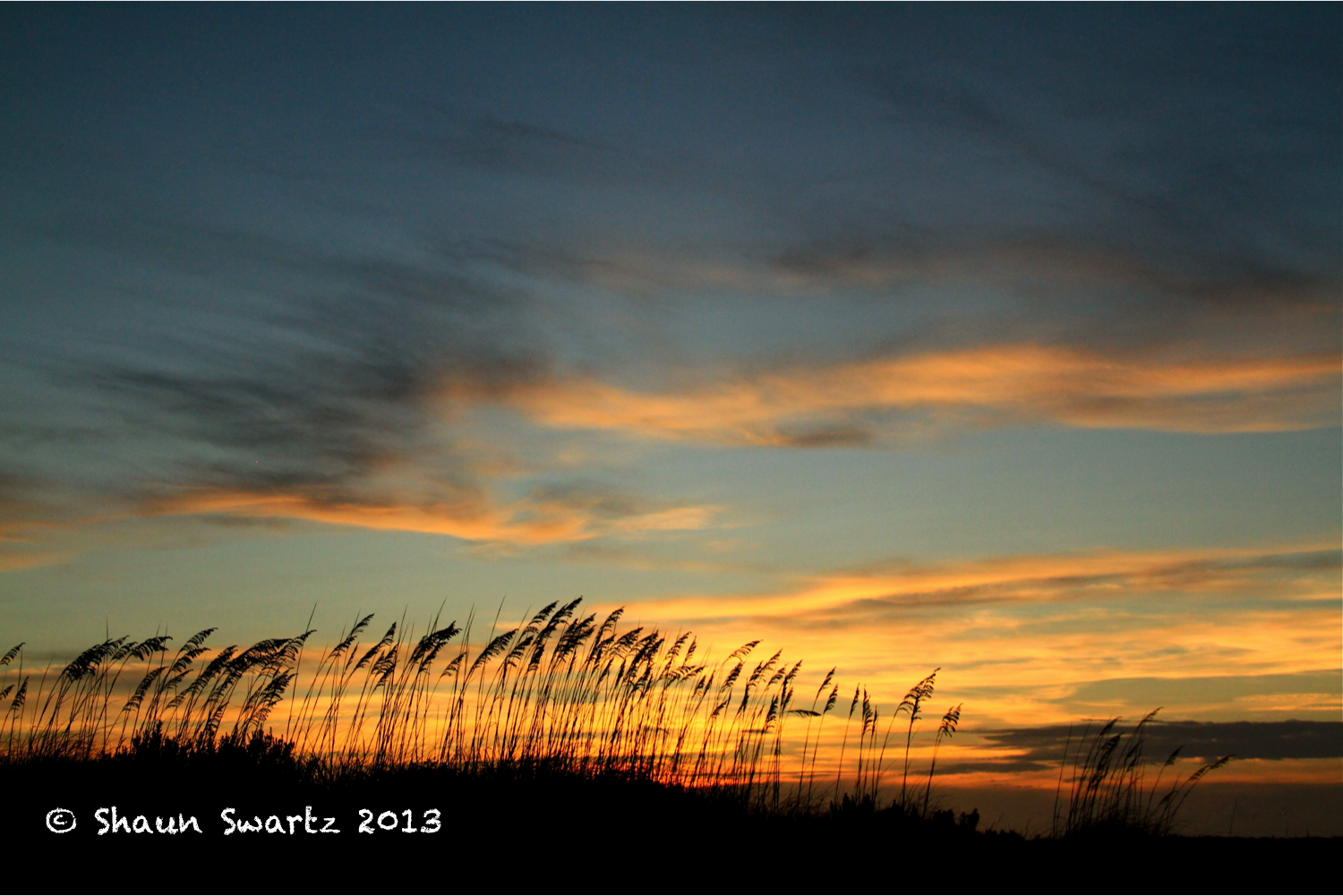 Sunset.png