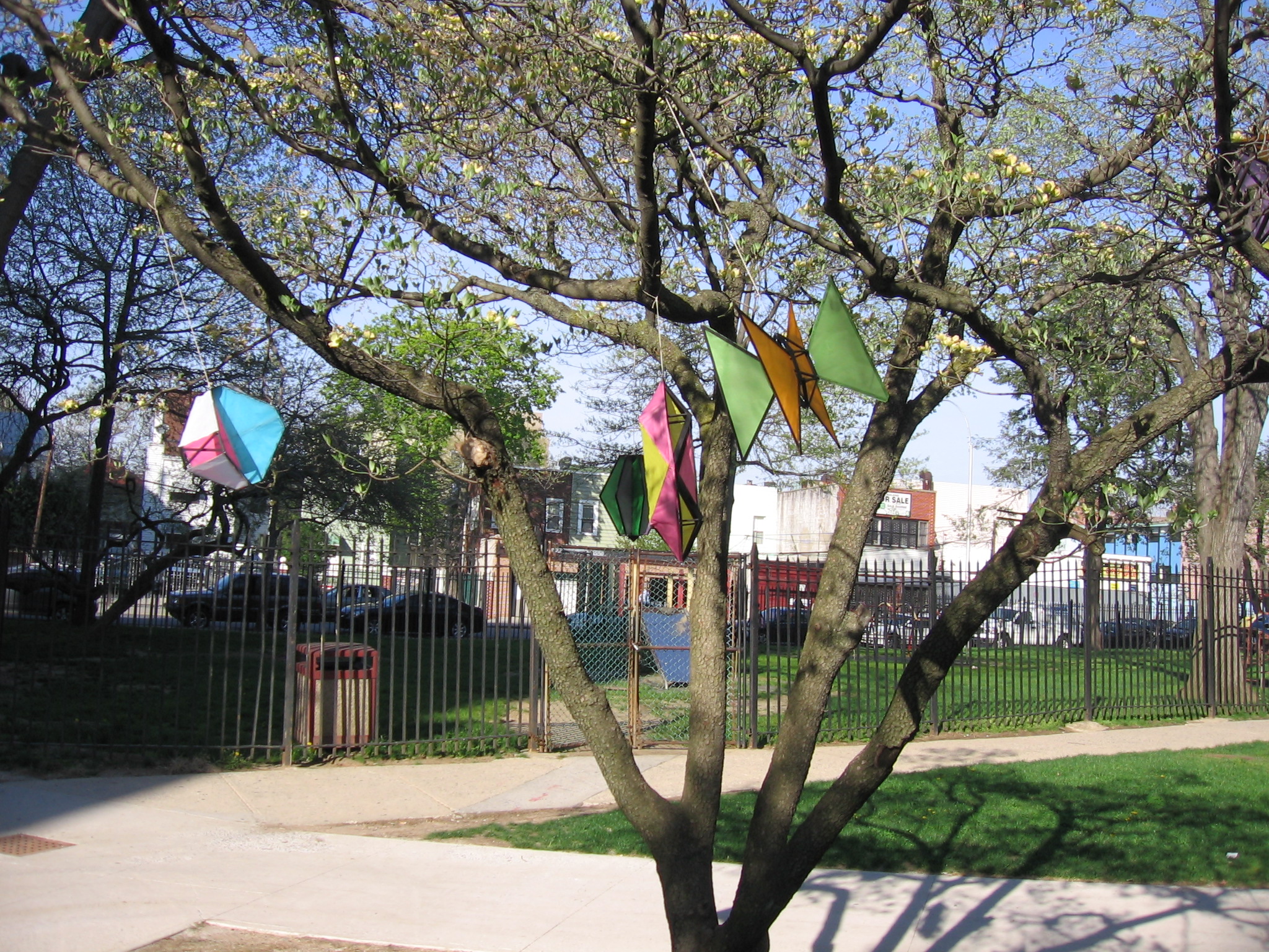 Tree Kites