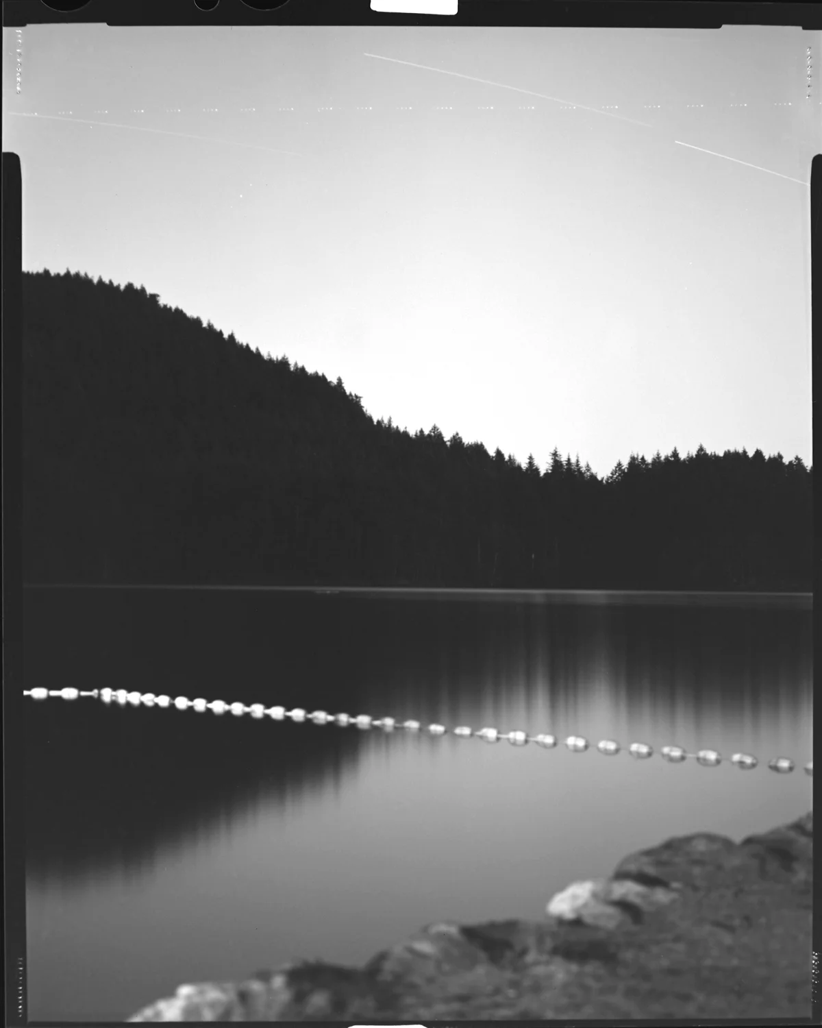 Orcas_01.jpg