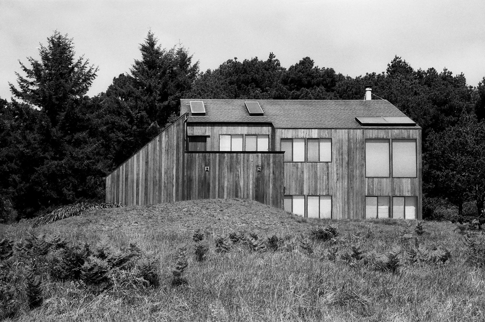 SeaRANCH6.jpg