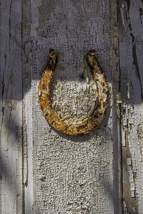 horse shoe-720pxh.jpg