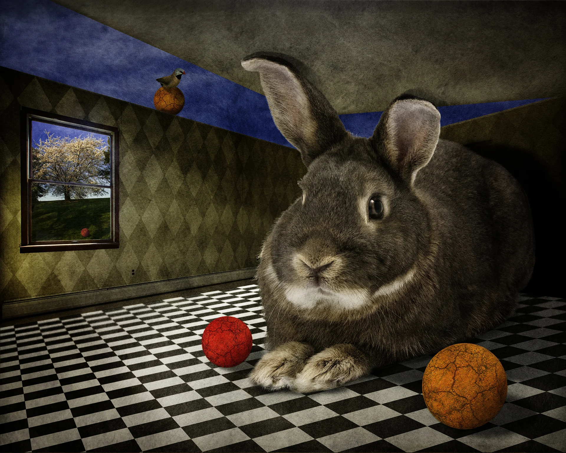 Alice's Room.jpg